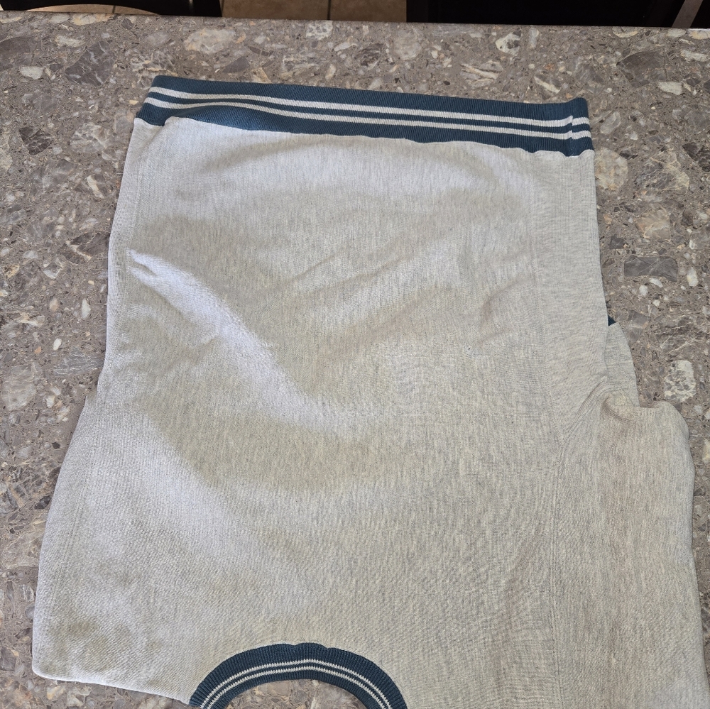 GUC- Champion Light Gray Crewneck Sweater with Teal Accents - Picture 3 of 7